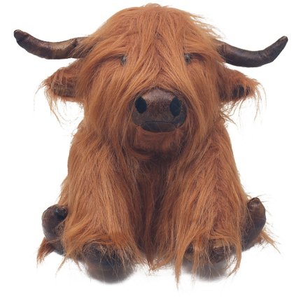 Huxley Highland Cow