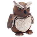 Ollie Owl